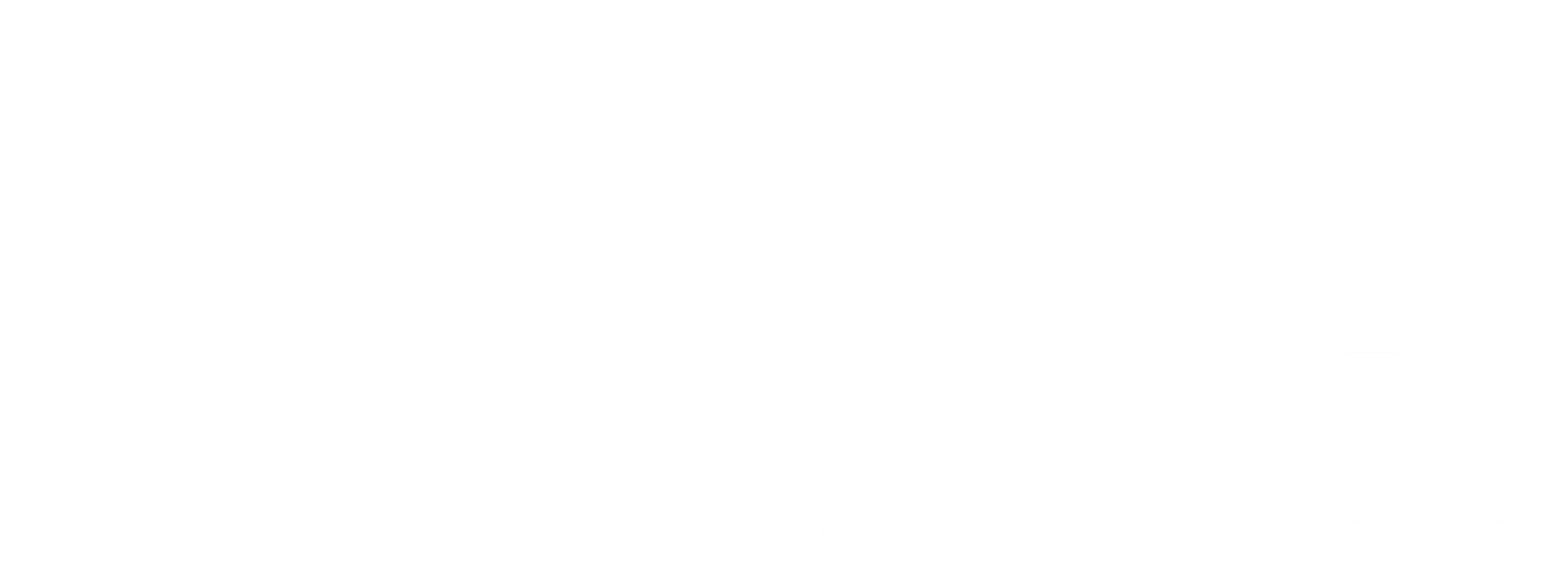 SoulMachines Logo