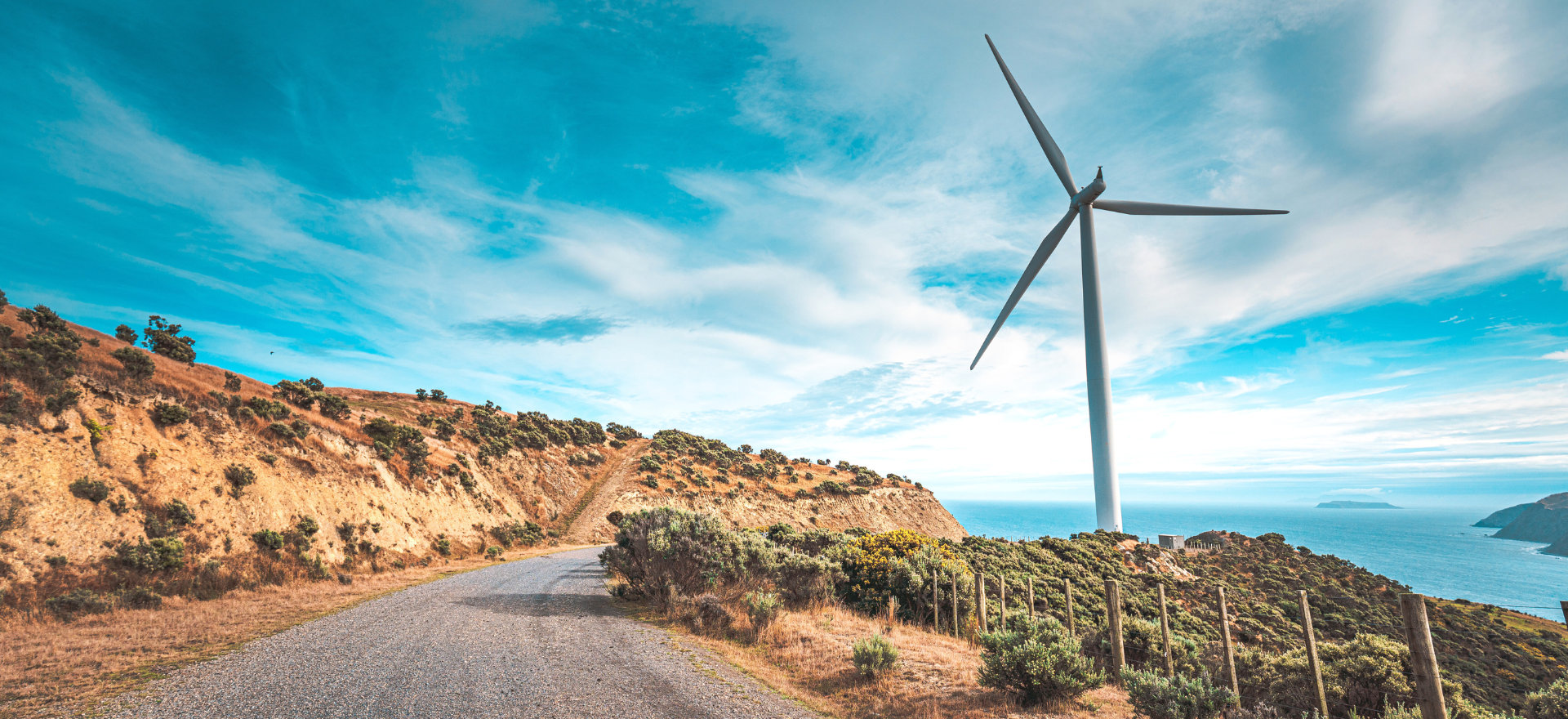 Designing a purpose driven digital experience for Contact Energy employees